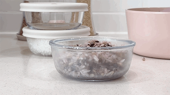 2890281233_4caw37kT_706f1d8b48dc1bb97e7d451ef027887b4f26f94d.gif
