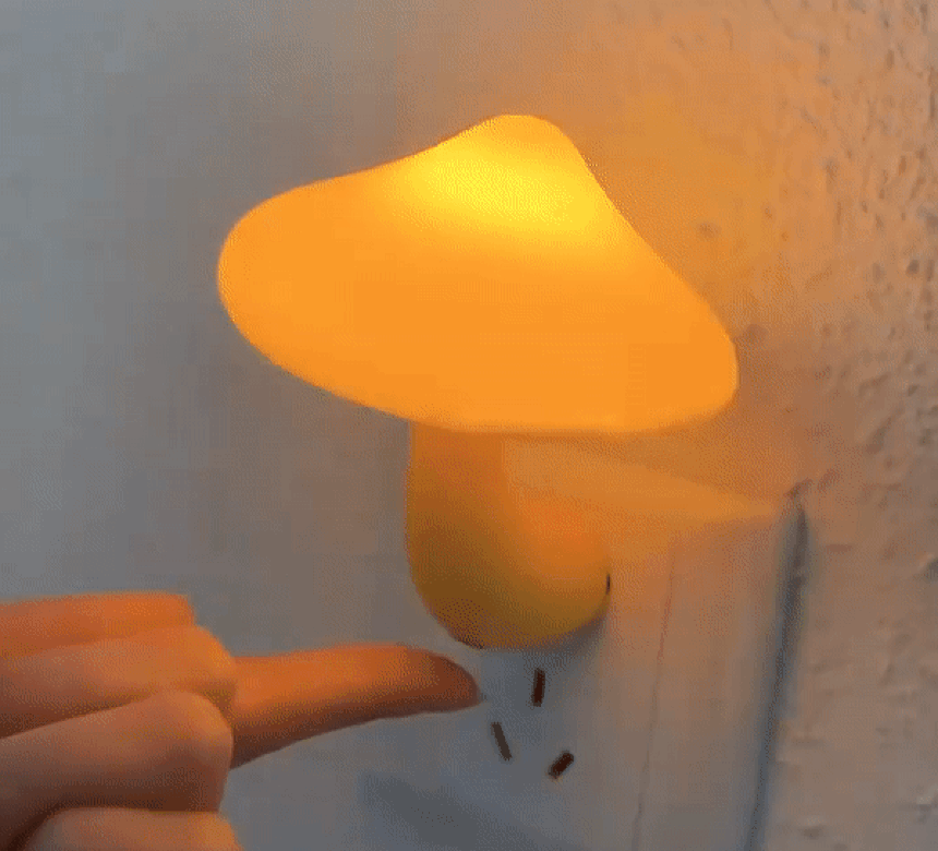 2890336381_SsA3Bjmx_b02f8266856c9748c1669ec7c2f29b0f948380e0.gif